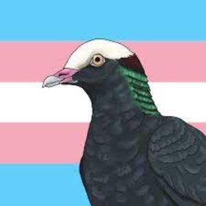 Meet your Posher, Elliot